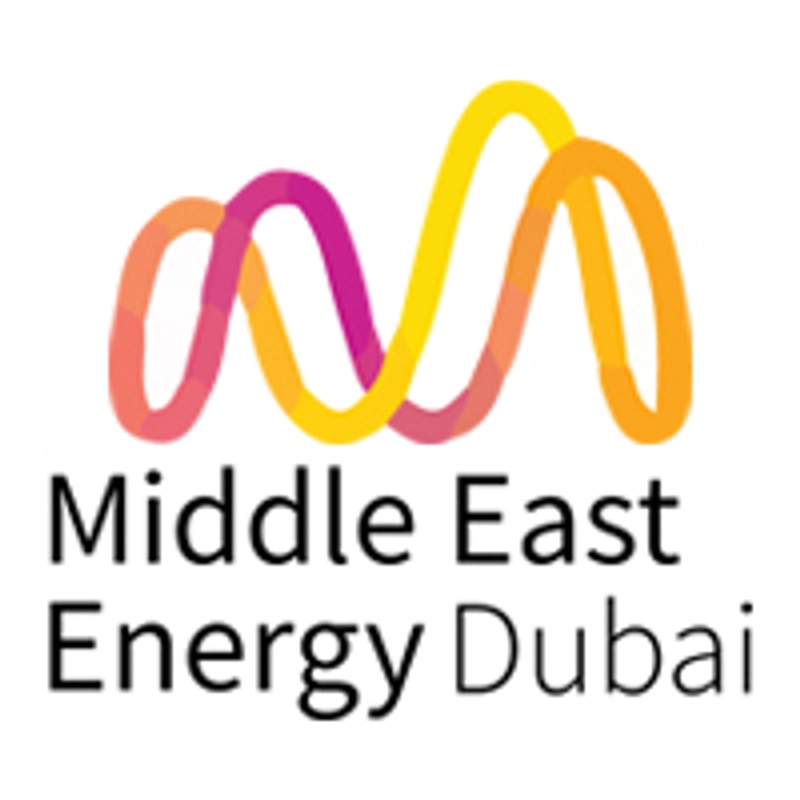 Inside MIDDLE EAST ELECTRICITY: B2B Key Insights