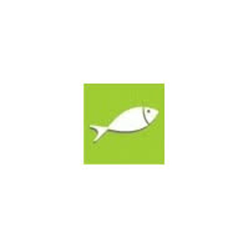 Why Attend FISHING AND HUNTING, BEEKEEPING? B2B Intro