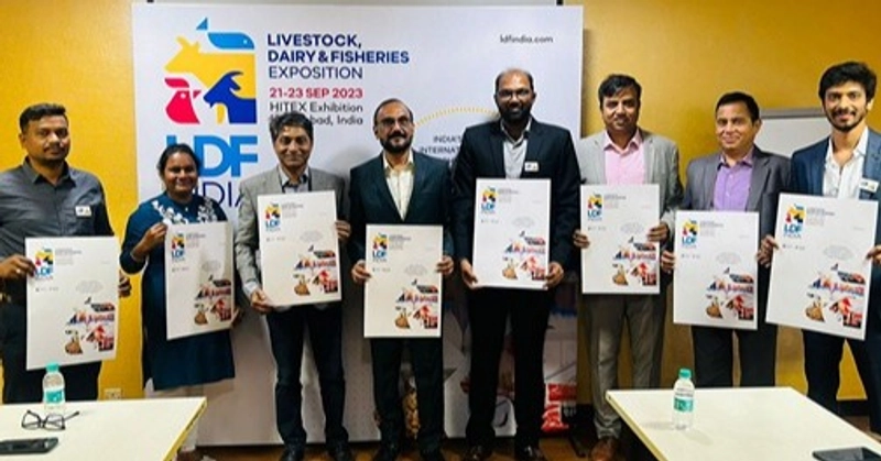 Why Attend LDF INDIA? B2B Intro - 1