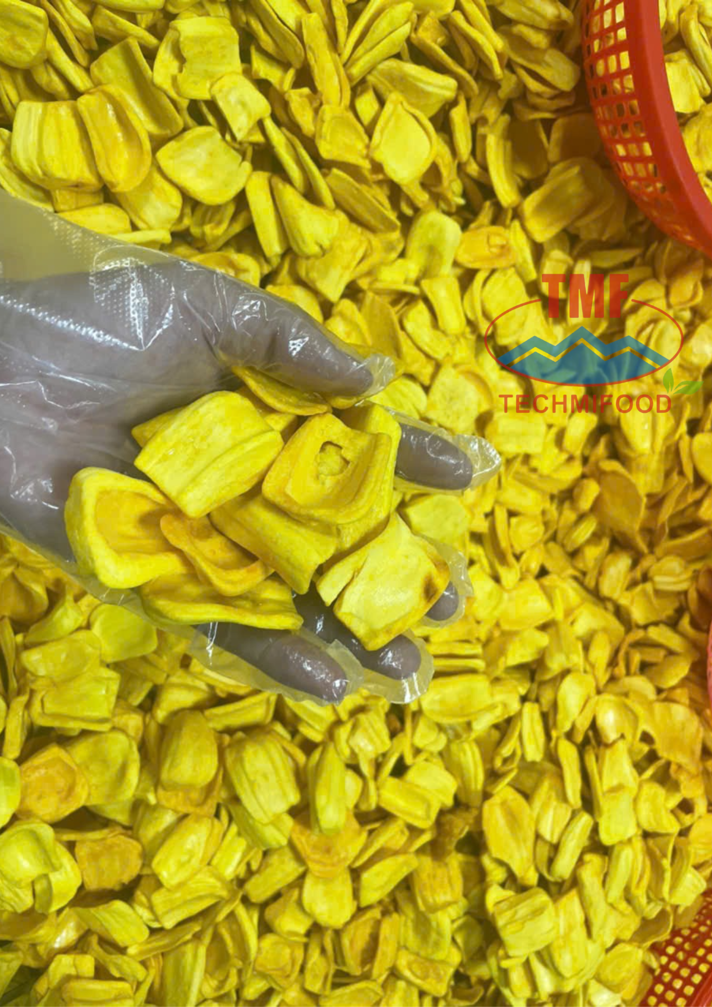 Golden Jackfruit Chips Crunchy Sweet Tropical Fruit Snack AD Dehydrated Brine-Treated Vacuum Pack 50kg Bulk Export Vietn – product photo, product description