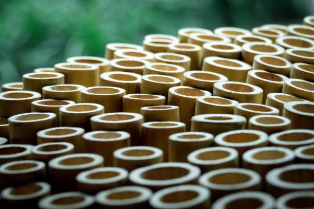 Top 5 Bamboo Suppliers in Portugal in Year 2025