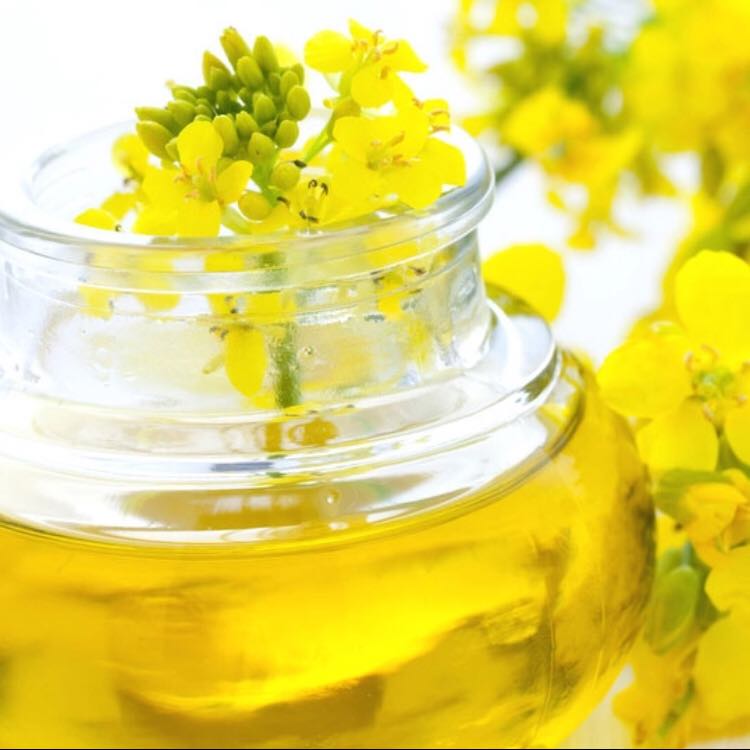 Refined Rapeseed Oil | Refined Canola Oil | Certified Organic