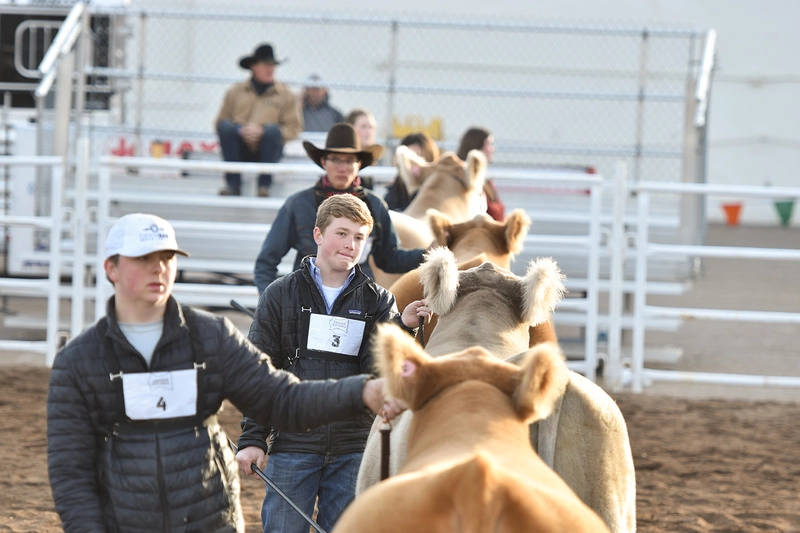 Arizona National Livestock Show Revealed: B2B Opportunity - 3