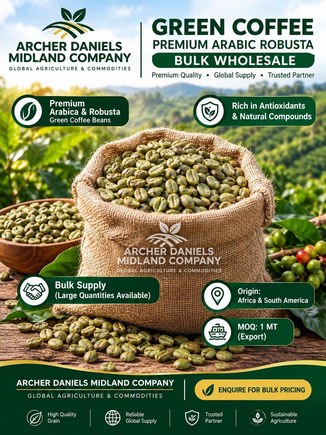 Premium Green Coffee Beans – Arabica & Robusta | Wholesale Bulk Supply