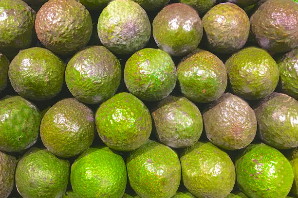 Top 9 Avocado Suppliers in France in Year 2025