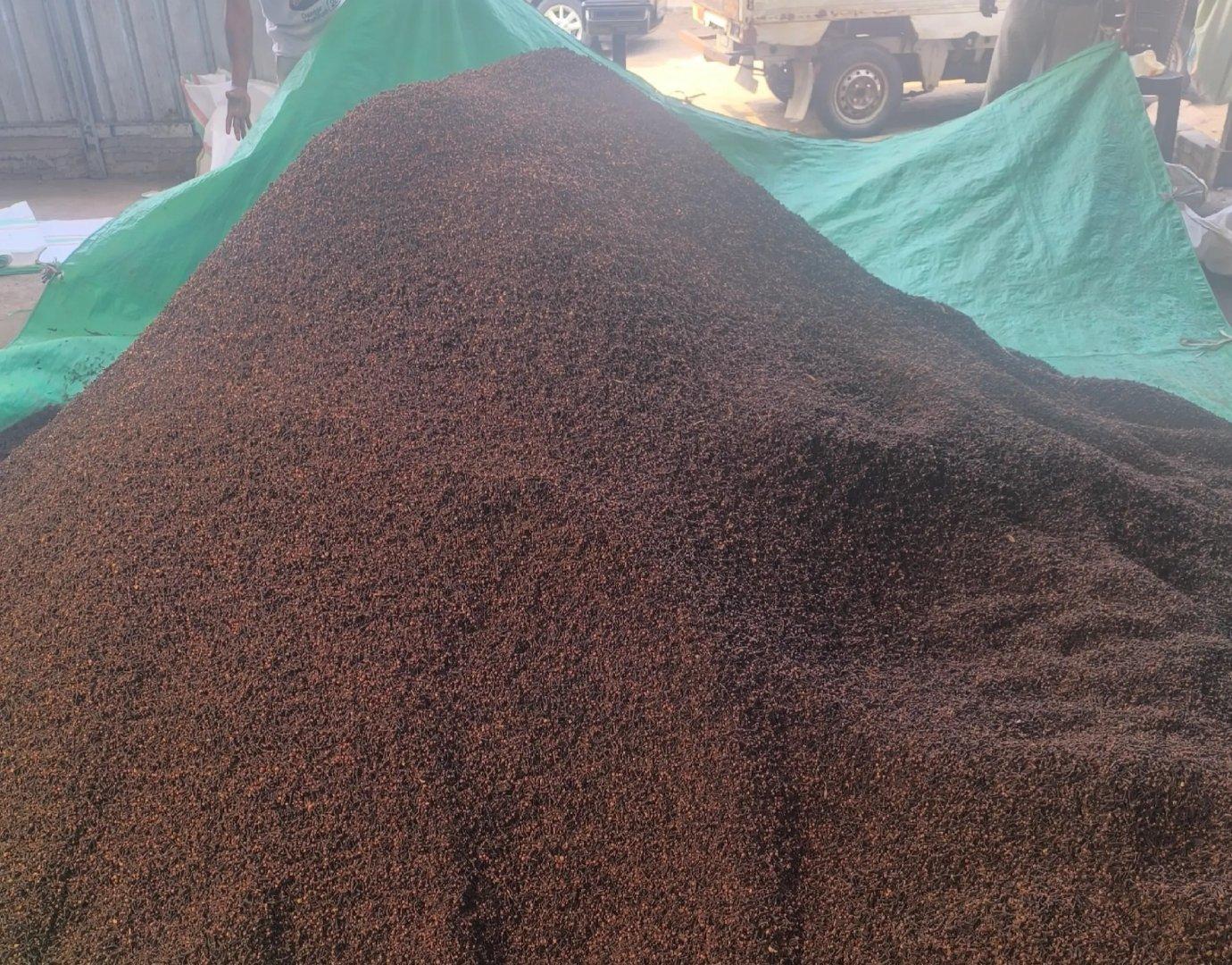 Whole Clove