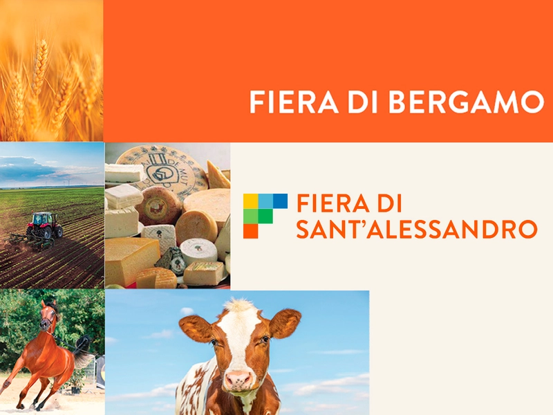 Fiera di Sant Alessandro Spotlight: B2B Essentials