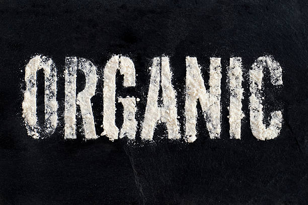 Top 5 Starch Suppliers in Portugal in 2025: Market Trends, Insights, and Sourcing Strategy