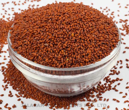Garden Cress Seeds – India Origin | 99.5% Purity | Non-GMO Hs Code 120799 Form Whole Seeds Moisture Max 10% Purity Minimum