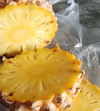 Fresh Pineapple 1