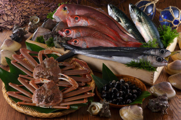 Top 9 Seafood Suppliers in Canada in July 2025: Navigating Market Shifts and Opportunities