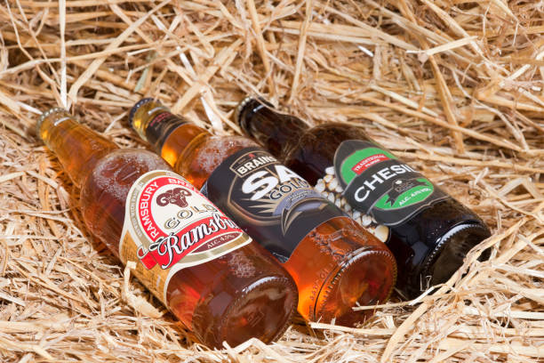 Top 7 Beer Suppliers in South Africa in Quarter 3 of 2025