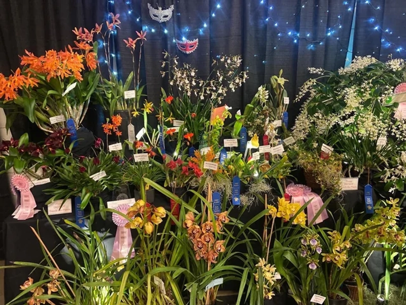 Unlock Pacific Orchid Exposition: Must-Know B2B Event - 3