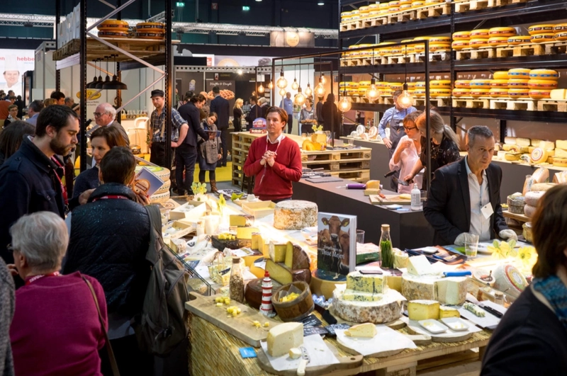 Inside TAVOLA: B2B Key Insights - 3