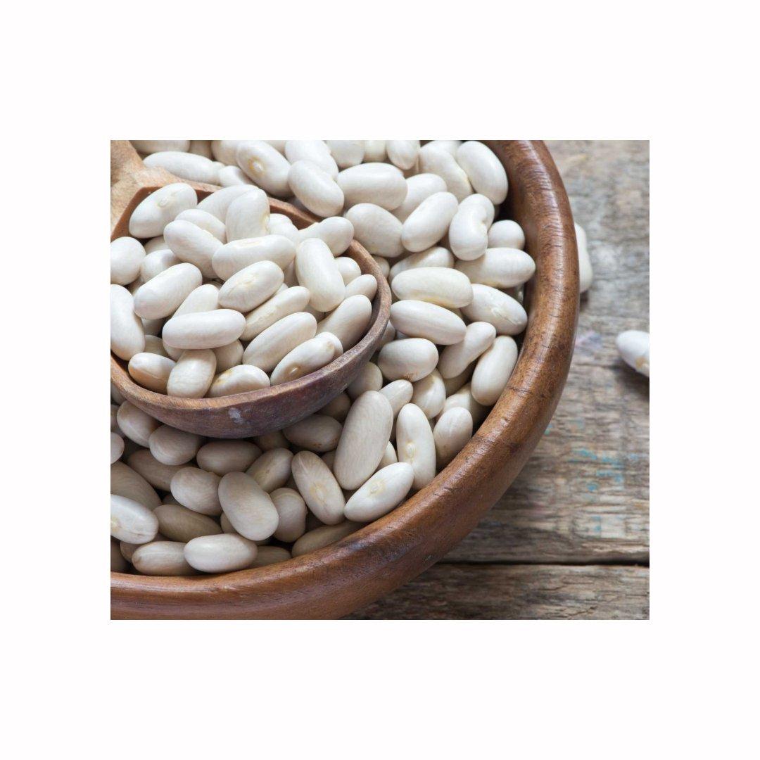 Bulk supply of white kidney beans ready for global distribution
