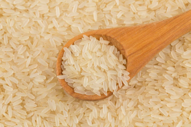 Top 7 Non Basmati Rice Suppliers in Bangladesh in July 2025