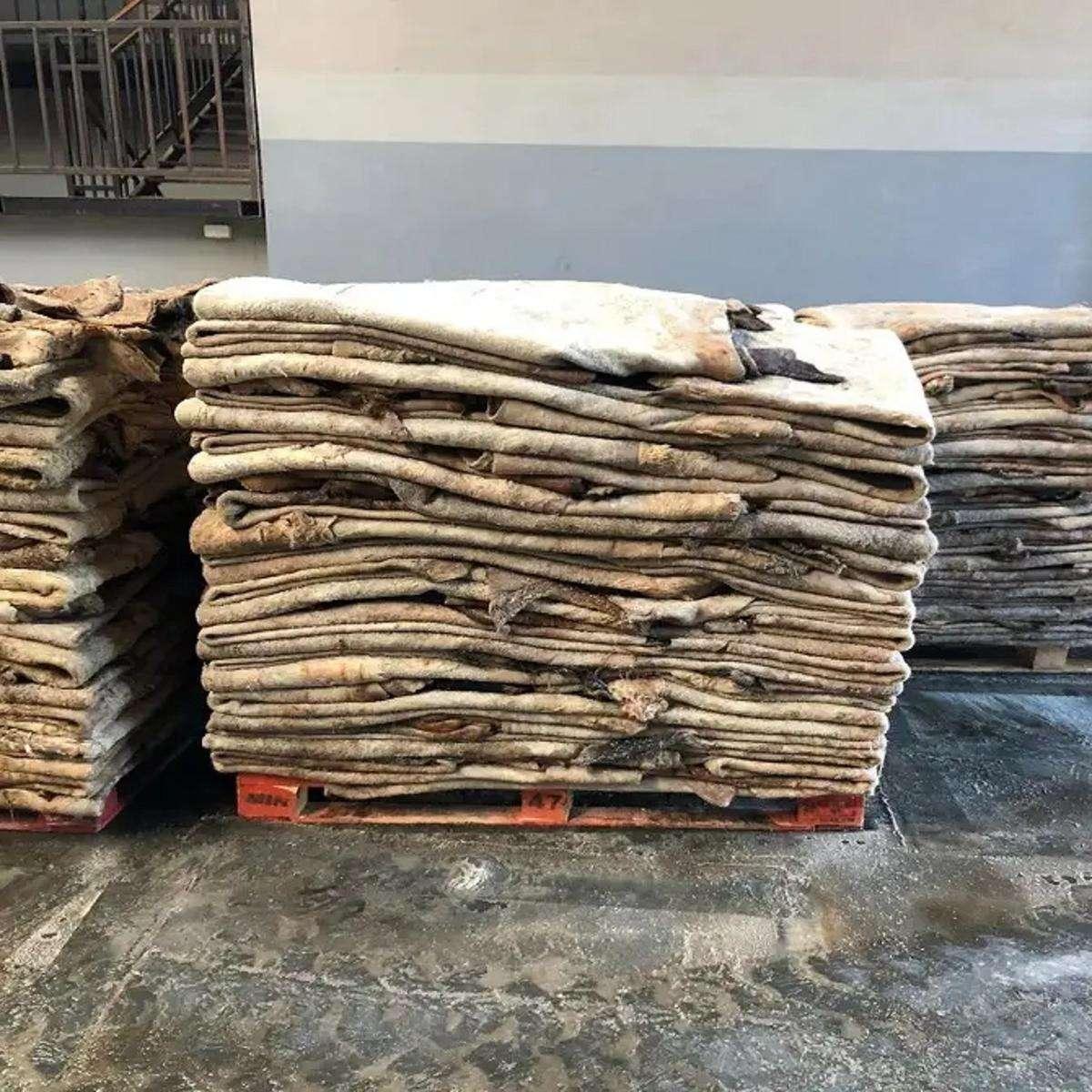 High Quality Dry Salted Donkey Hides Wet Salted Donkey Skins Bulk Supply for Leather Tannery and Industrial Use