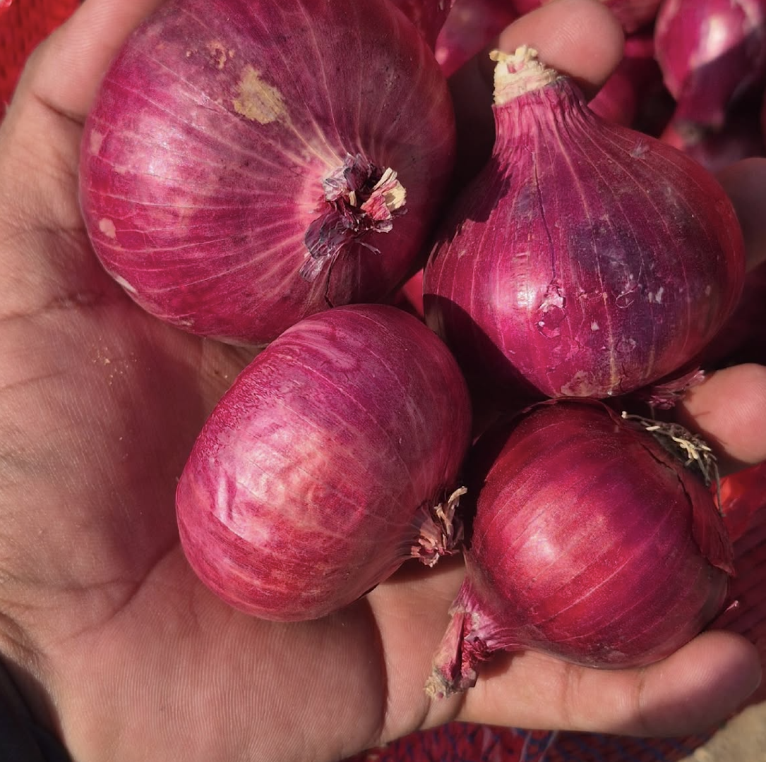 Long Shelf Life And Excellent Storage Characteristics Fresh Red Onions 10kg Export Bags On Sale – product thumbnail, market insight supplier card