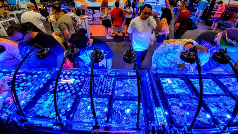 Unlock Reefapalooza New York : Must-Know B2B Event - 1