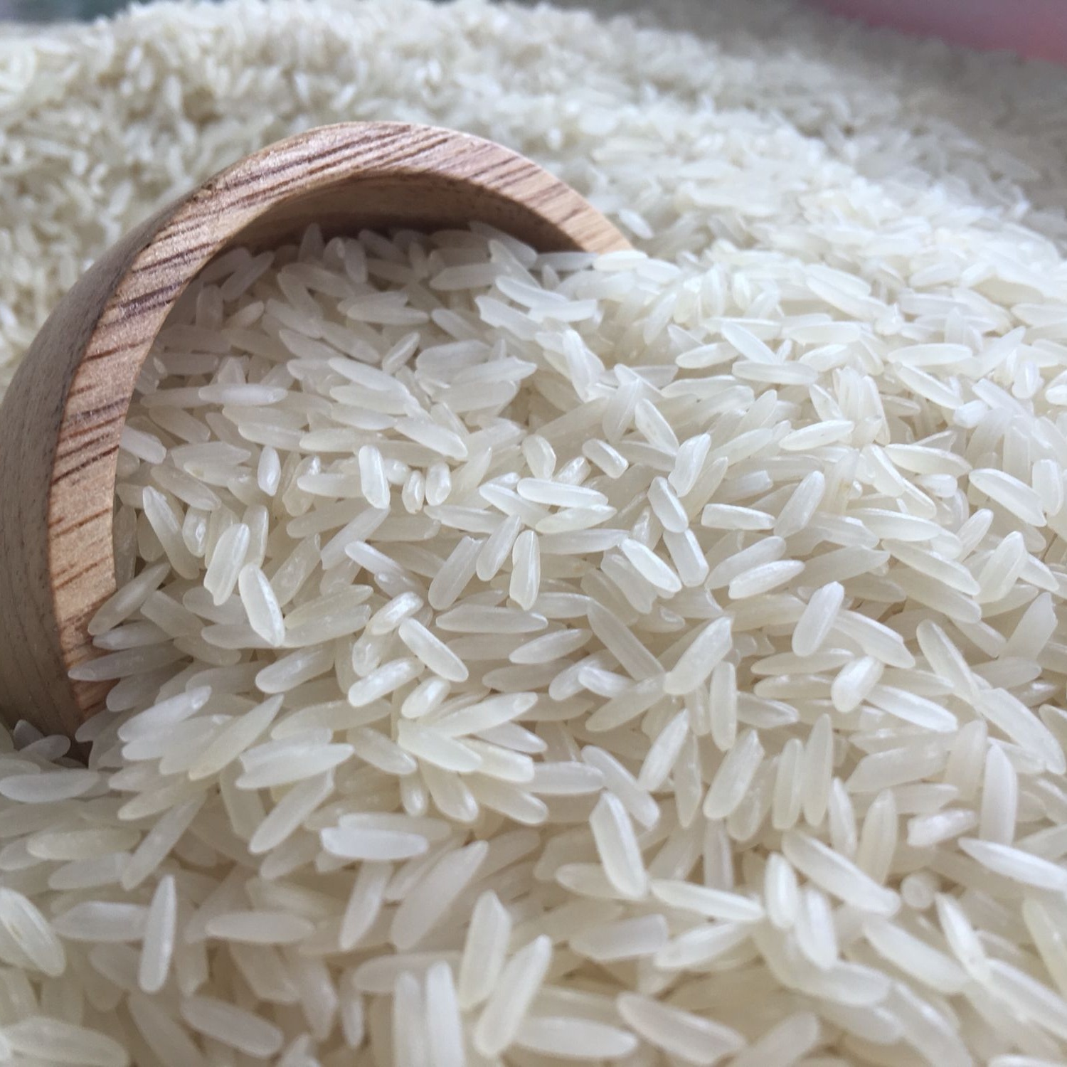 Thai long grain jasmine Rice 5%broken New crop 2021-2022