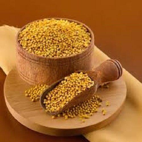 Natural Premium Grade Mustard Seeds Wholesale | Suitable for Oil Pressing, Culinary Use, Seasoning Production, Pickling, and Food Manufacturing with Flexible Packaging and International Shipping