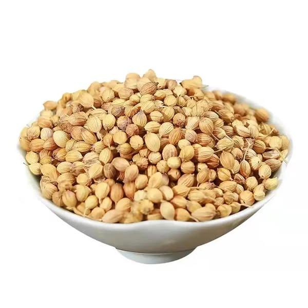 Premium Quality 100% Pure Organic Coriander Seeds Fresh Aromatic Herb Spice 500g/1kg Bulk Export Dried No Artificial Colors