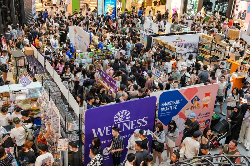 Asia Cat Expo Revealed: B2B Opportunity