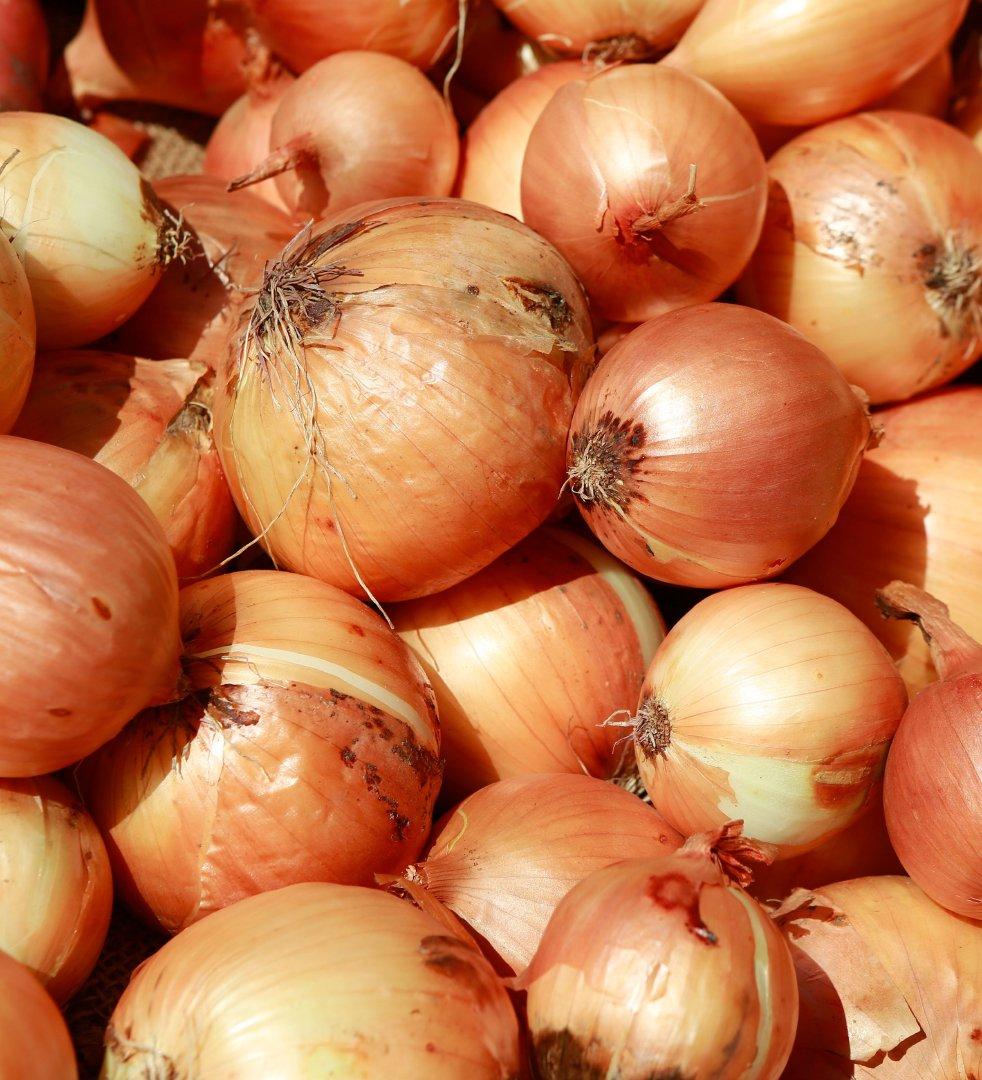 Get to Know the Top 3 Onion Suppliers in Vietnam — top 3 Onion suppliers in Vietnam - 4