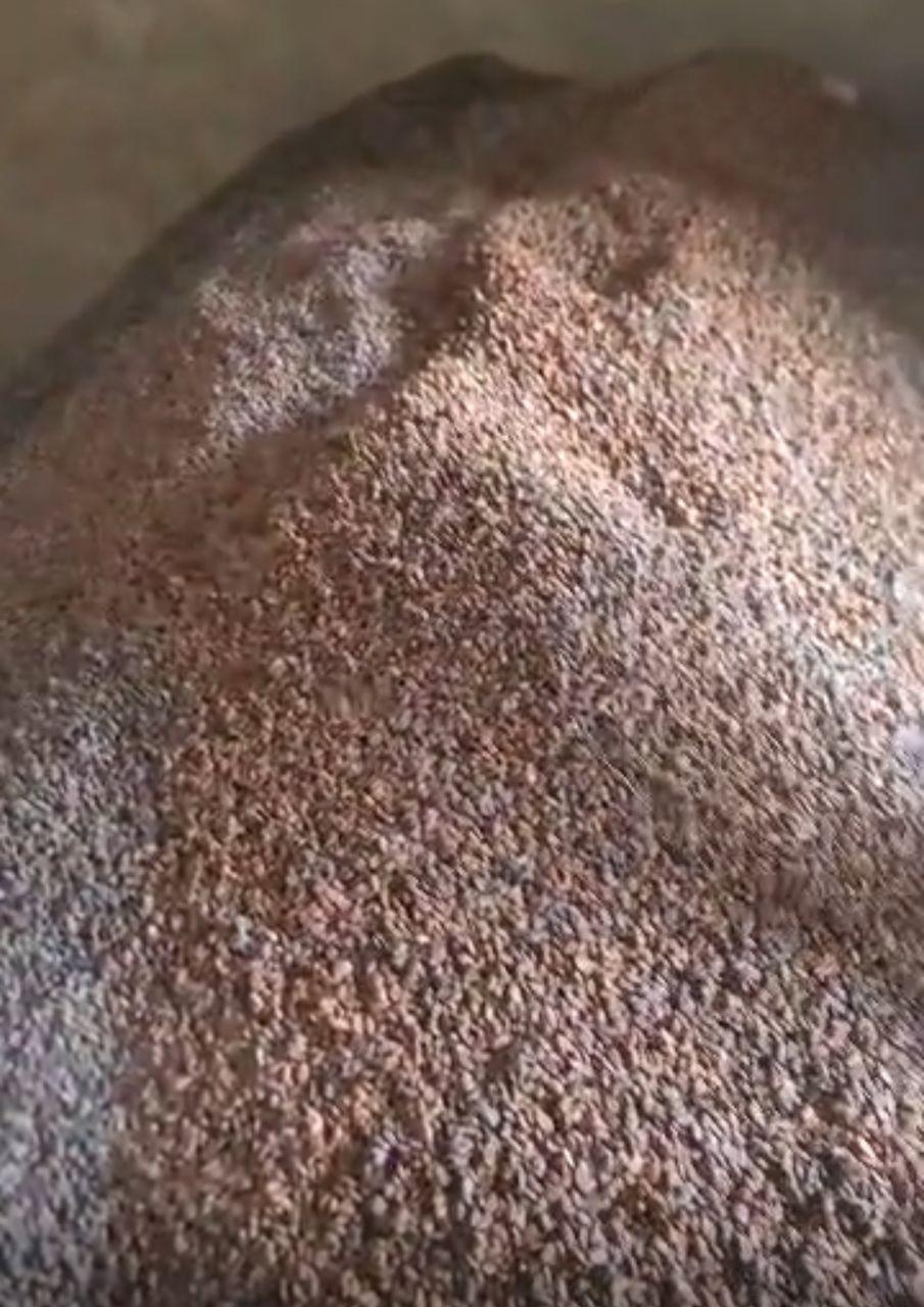 Cocoa Beans Image 1