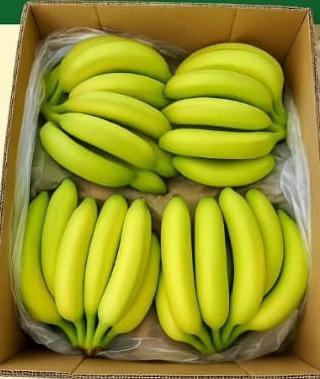 FRESH BANANA Quality A Taste Mild Color Green Shelf Life 2 Months Payment Method T/t, L/c Storage Type Cool Place Cultivation Type General