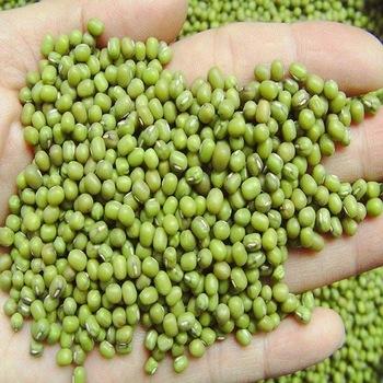 Green Mung Beans 4