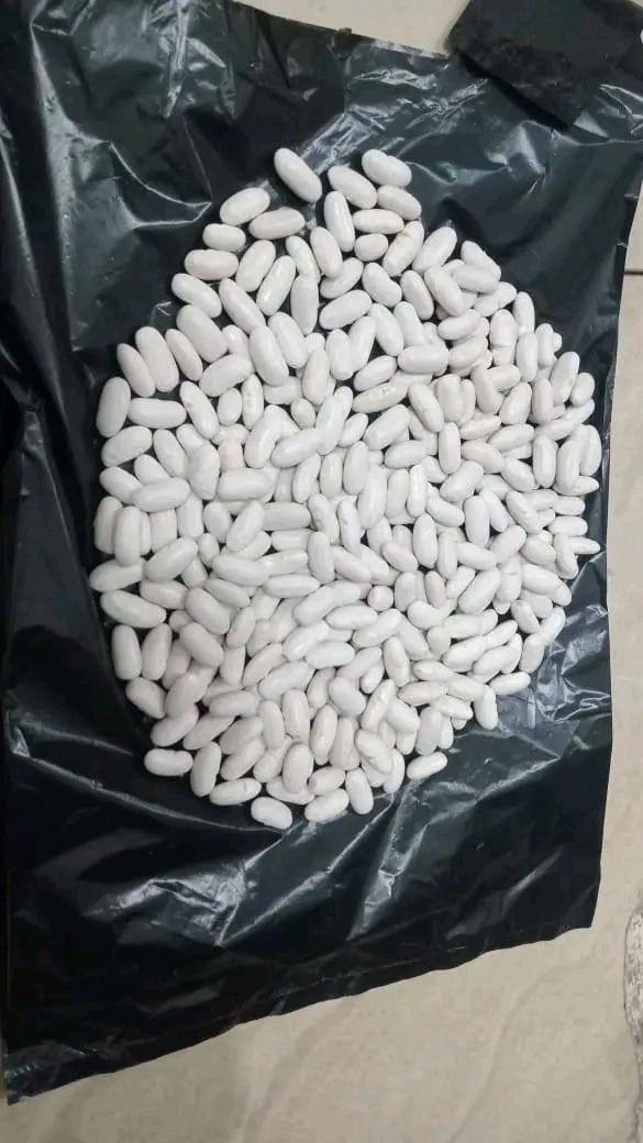 White Beans Export