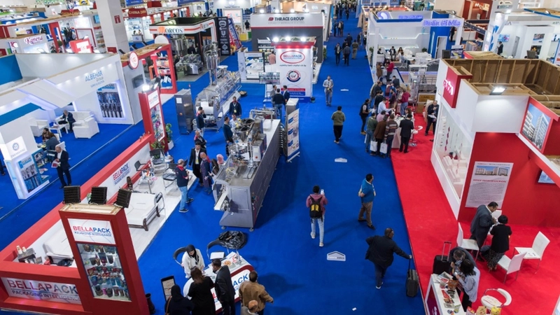 Inside AFRICA FOOD MANUFACTURING: B2B Key Insights - 2