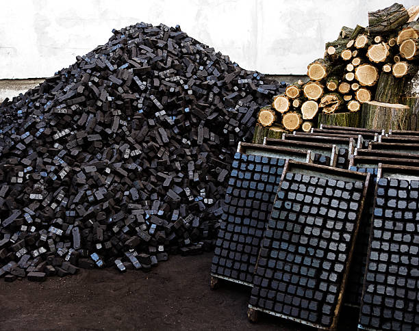 Top 9 Charcoal Briquette Making Machinery Suppliers in China in July 2025