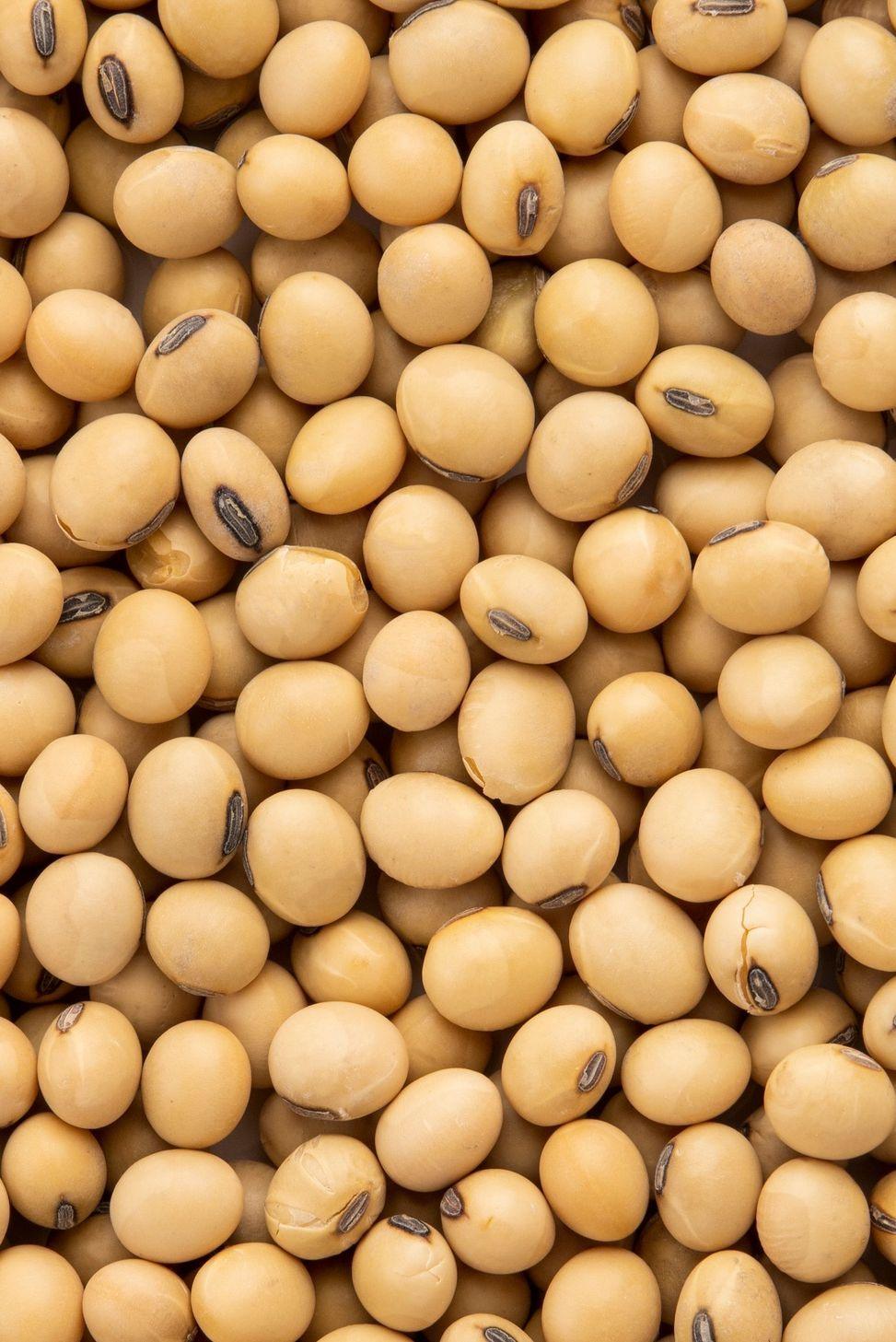 Soybean Meal Product Image