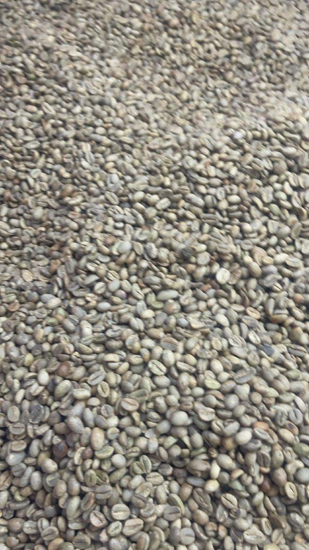 Ethiopian green coffee beans unwashed Nekemti grade 4