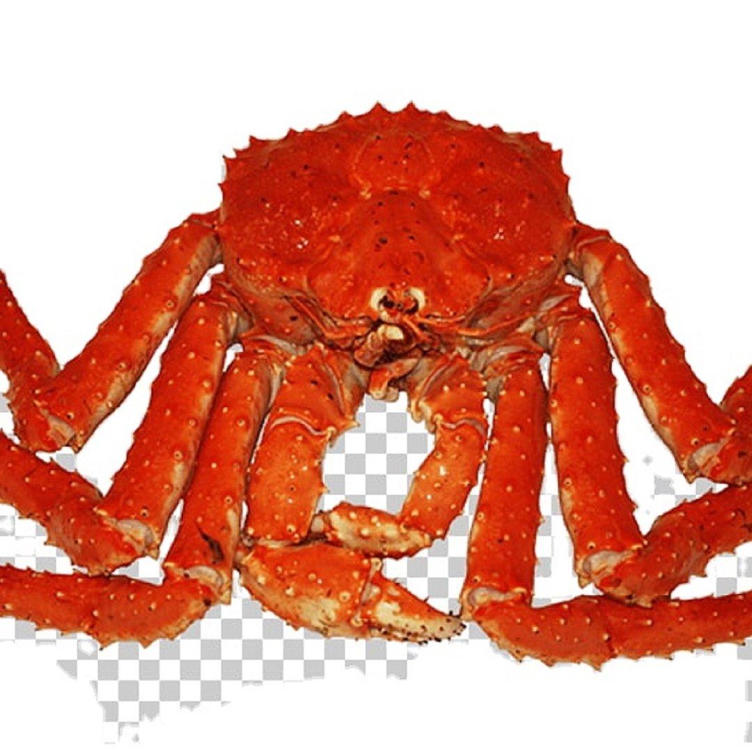 Frozen Red king Crab/Wholesale Frozen King Crab 2019 For Sale.