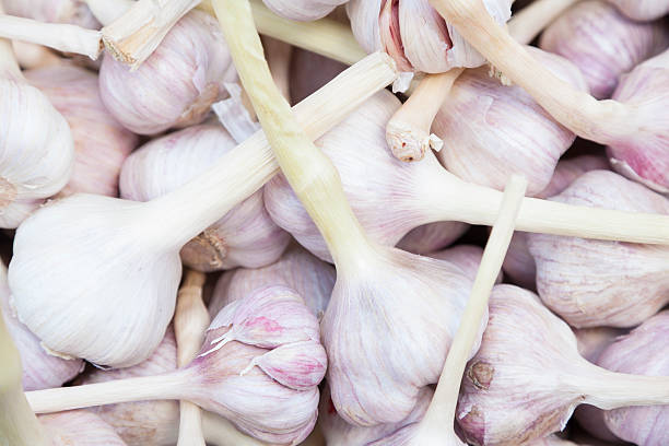 Your Expert Guide to Procuring Top-Tier Garlic: Top 4 Garlic Suppliers in Germany in Year 2025