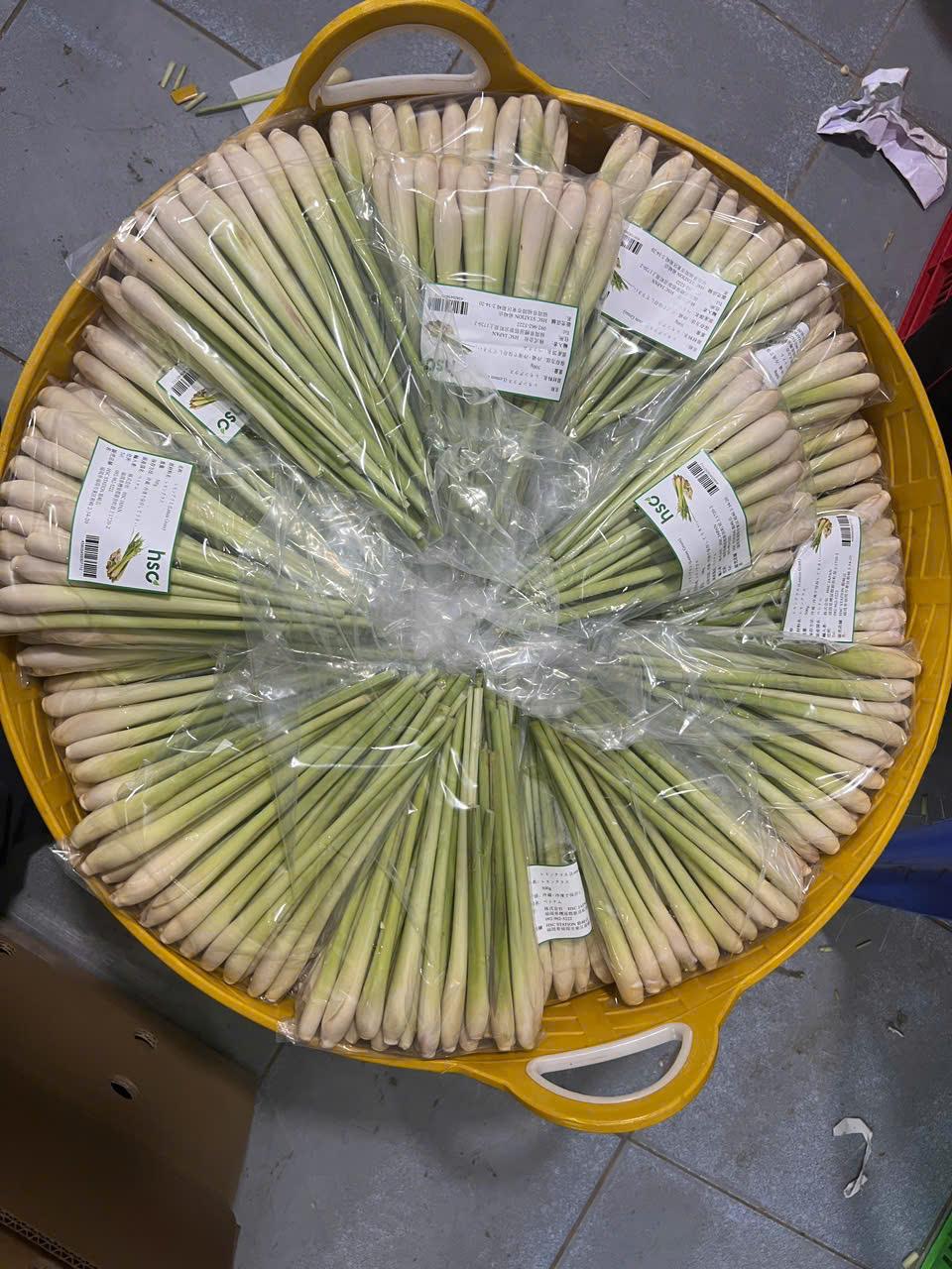 Fresh Young Coconuts by HSC Investment JSC