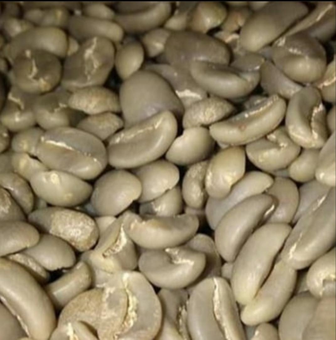 Gayo Arabica Coffee Beans