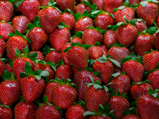 Urgent Update: Top 5 Strawberry Suppliers in Pakistan in Quarter 3 of 2025