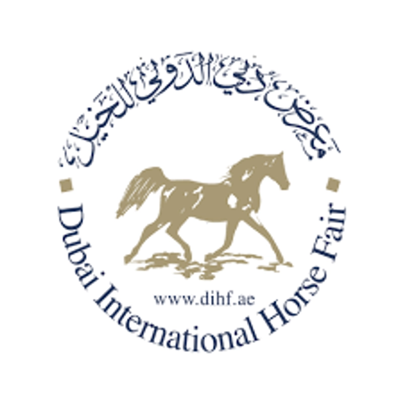 Inside Dubai International Horse Fair: B2B Key Insights