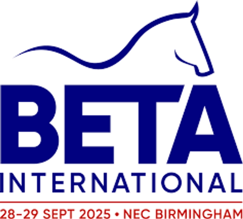 BETA International Spotlight: B2B Essentials