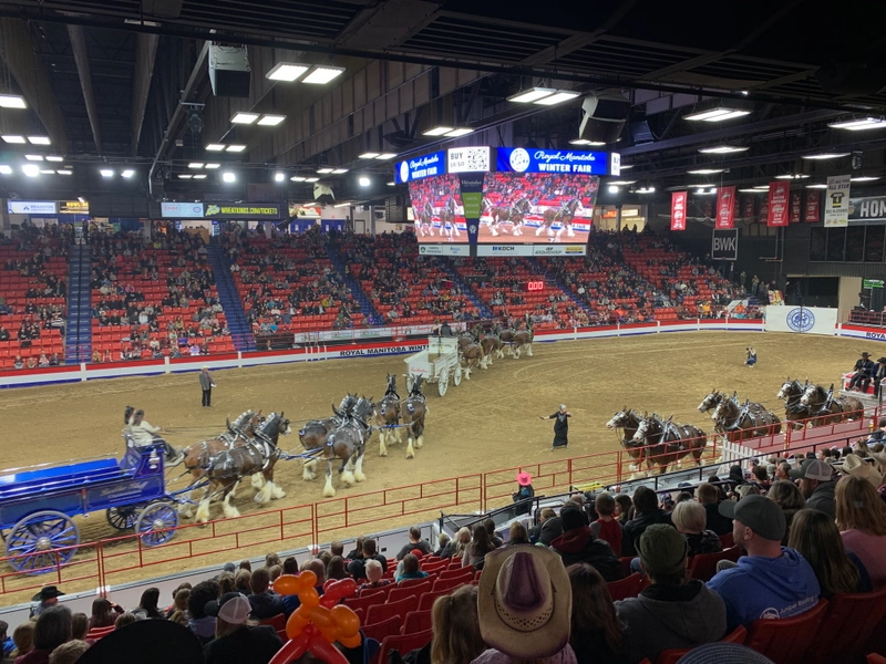 Unlock Royal Manitoba Winter Fair: Must-Know B2B Event - 1