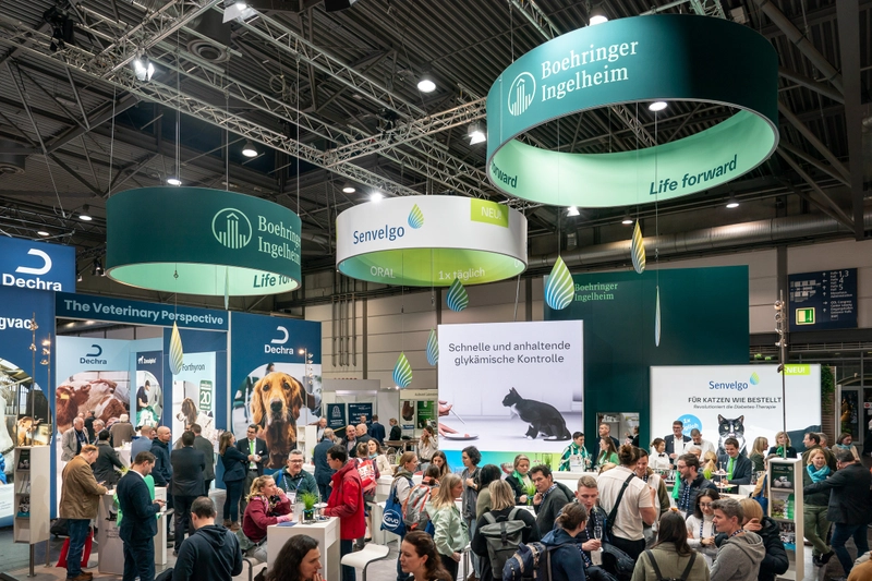 LEIPZIG VETERINARY CONGRESS Spotlight: B2B Essentials - 2