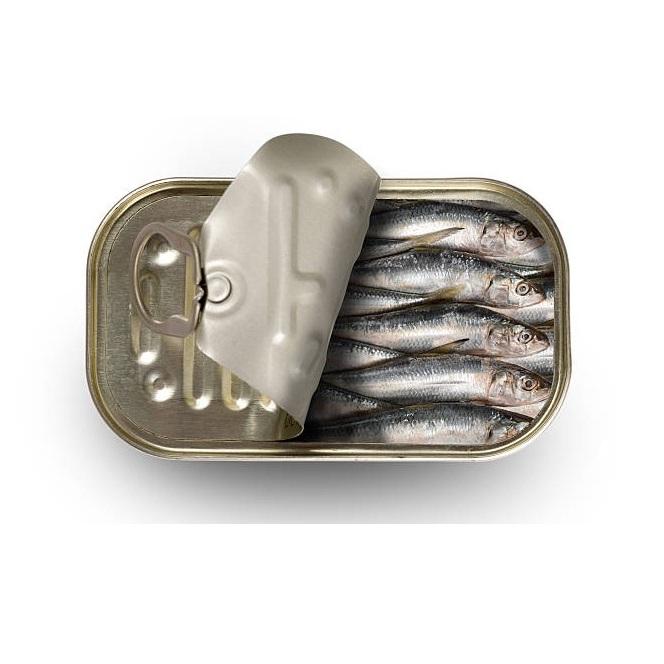 Bulk Canned Seafood Canned Fish Canned Sardine in In Brine / vegetable oil Wholesale Price Supplier