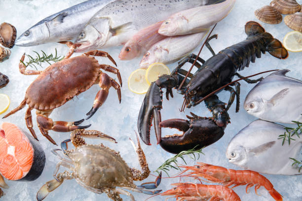 Your Expert Guide to Procuring Top-Tier Seafood: Top 10 Seafood Suppliers in Bangladesh in August 2025