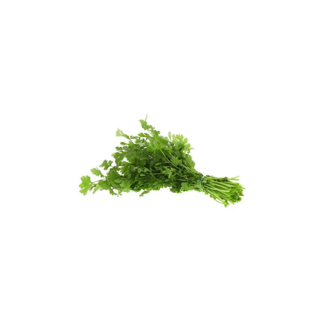 Excellent Quality Fresh Raw Organic Natural Coriander Seeds for Immunity Support Nutritional Products Worldwide Supply Available Excellent Quality Fresh Raw Organic Natural Coriander Seeds for Immunity Support Nutritional Products Worldwide Supply Available