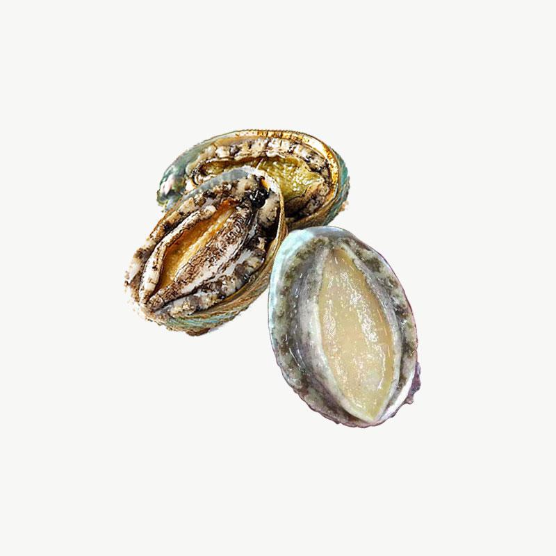 Hot Selling Good Quality Nutritious Shellfish Dried Abalone