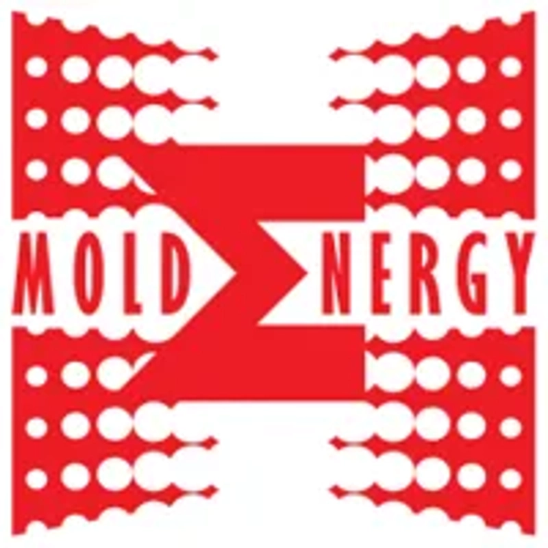 Inside MOLDENERGY : B2B Key Insights